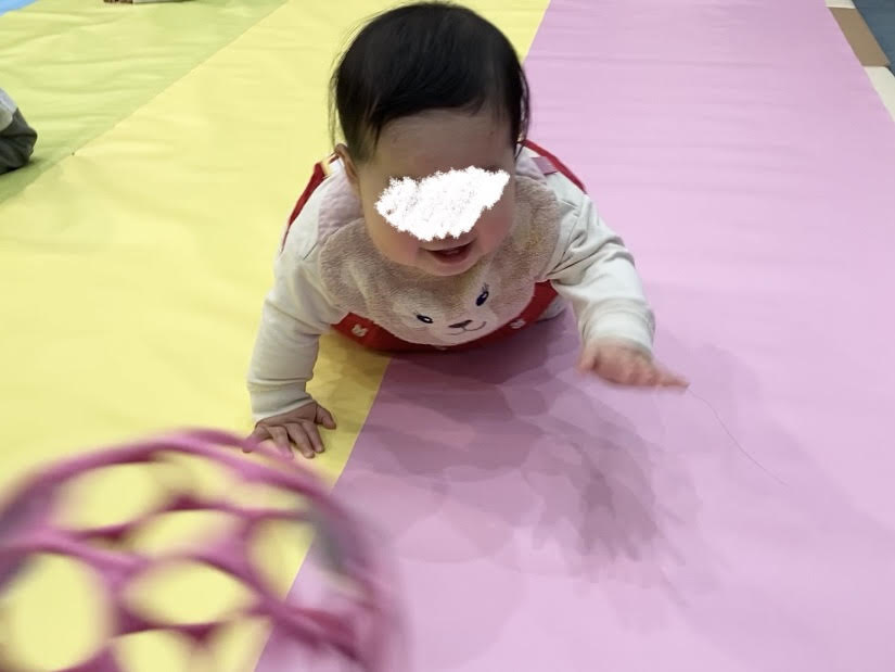 ハイハイレースをする赤ちゃん