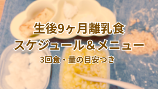 生後9ヶ月 離乳食スケジュールとメニュー例｜量・回数・1日の流れまとめ