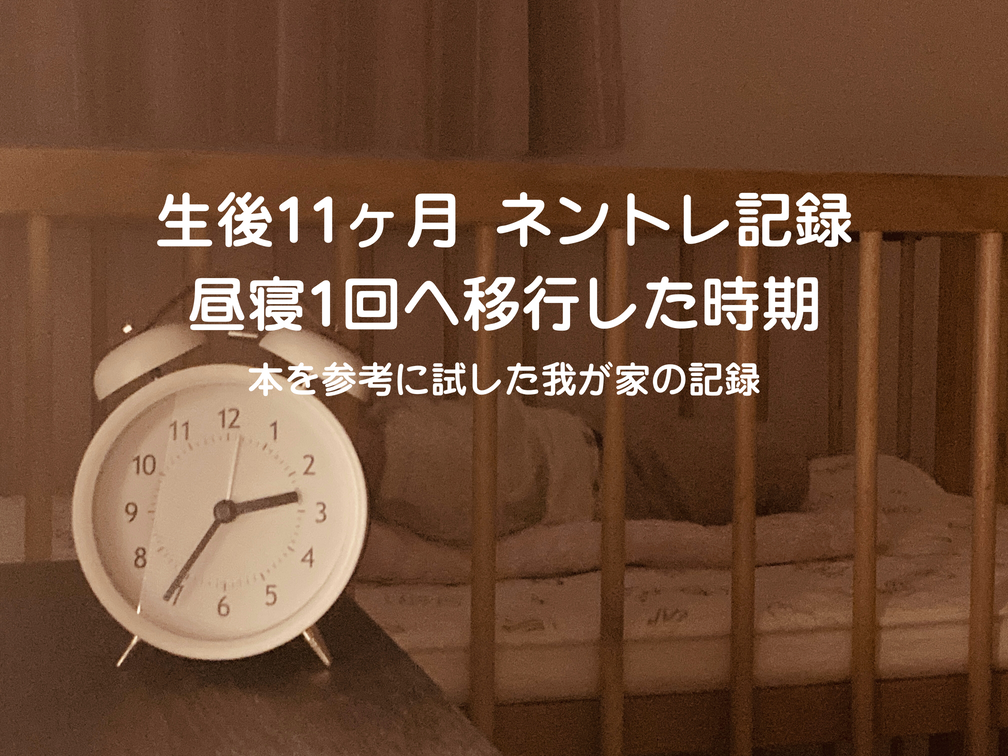 生後11ヶ月のネントレスケジュール実例｜昼寝1回への移行で寝つきが改善した体験談
