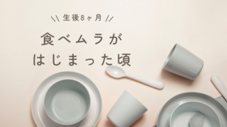 生後8ヶ月の離乳食体験談｜食べムラが始まった頃の記録